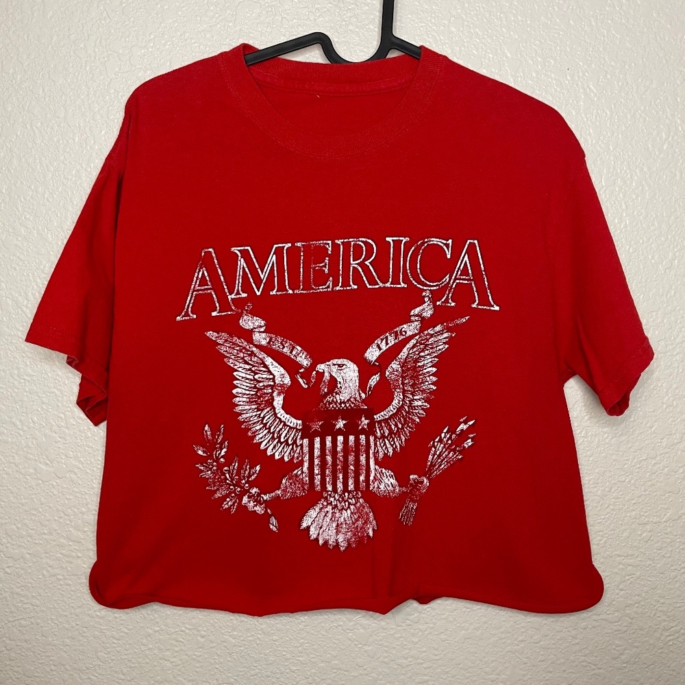 America 1776 Eagle Crop Top